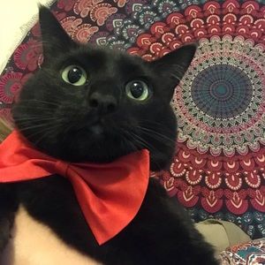 Meet your Posher, Raelynn